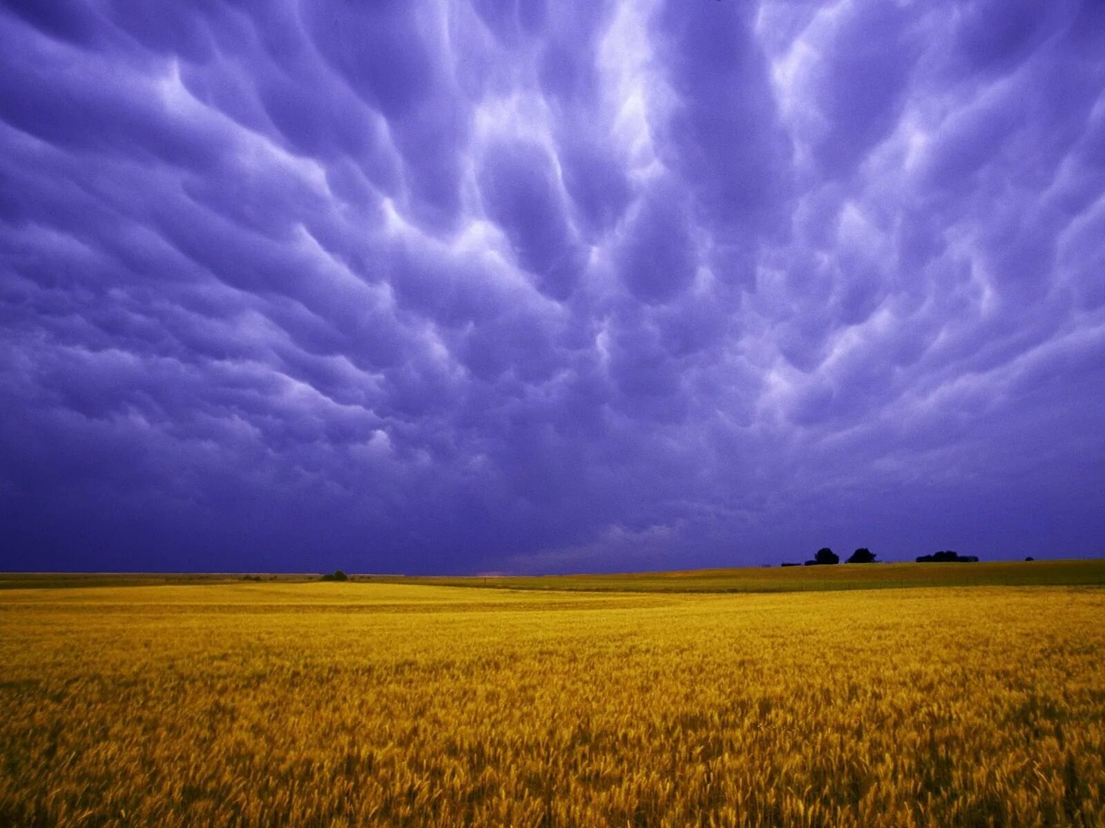 Sky ii