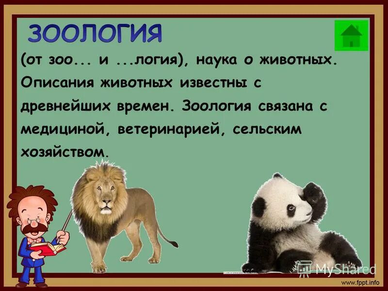 прилагательные к животным. домашние животные прилагательные.