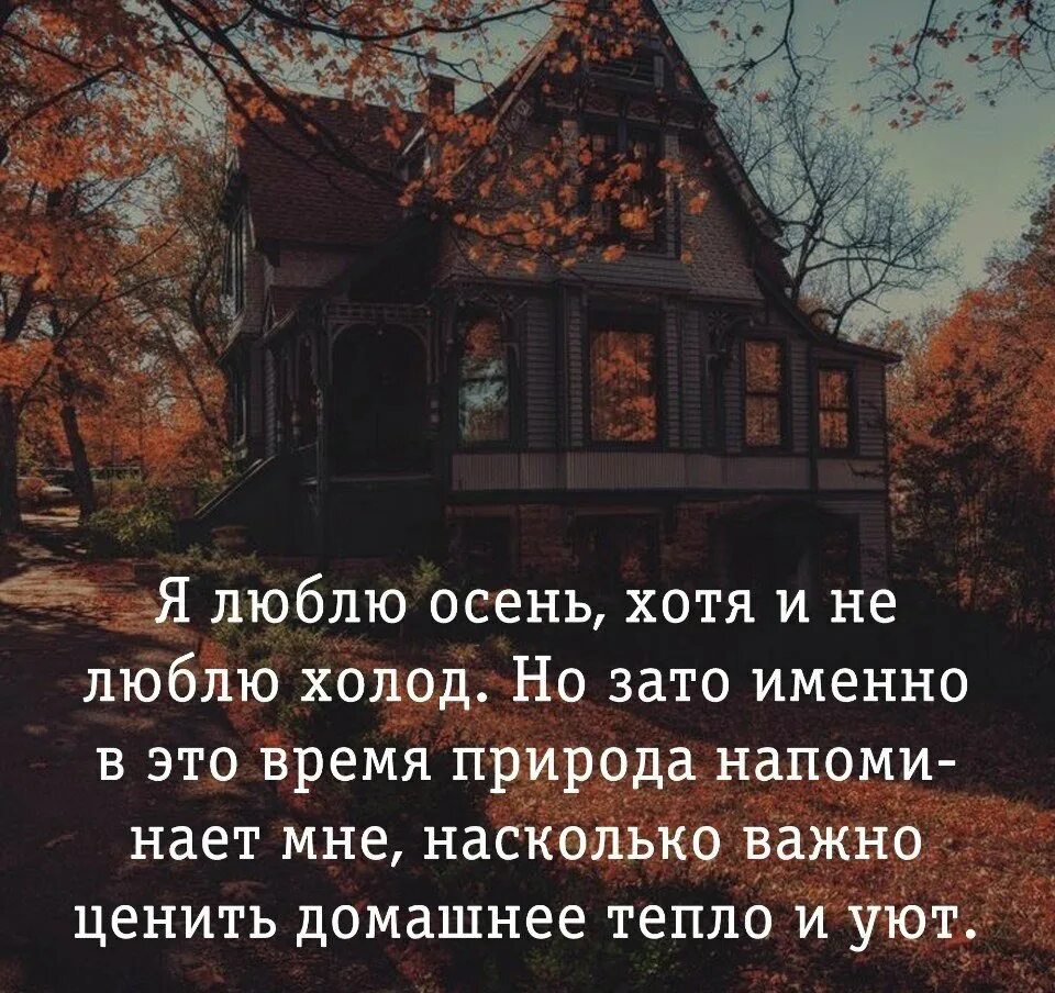 Сменив уют и тишину на фронтовую обстановку. Цитаты про осень. афоризмы осенние. осенние уютные цитаты. осень мысли высказывания.
