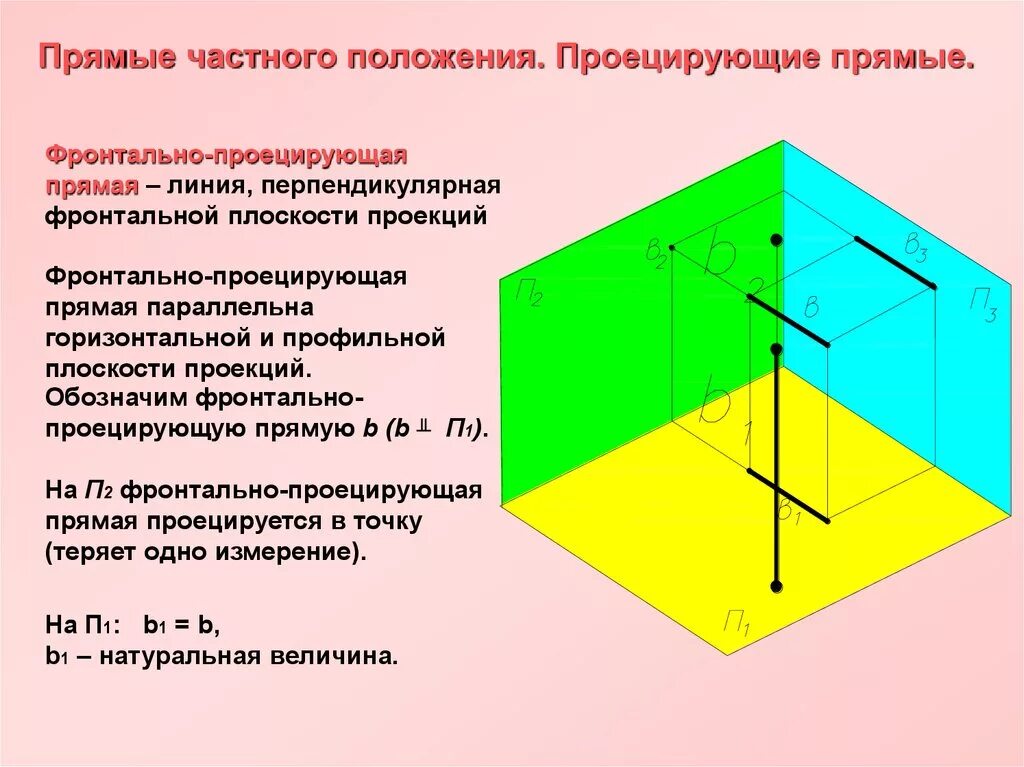 Прямые частного положения Начертательная. Горизонтально-проецирующей прямой. Фронтальная плоскость проекции. Проекции прямой частного положения. Горизонталь перпендикулярна