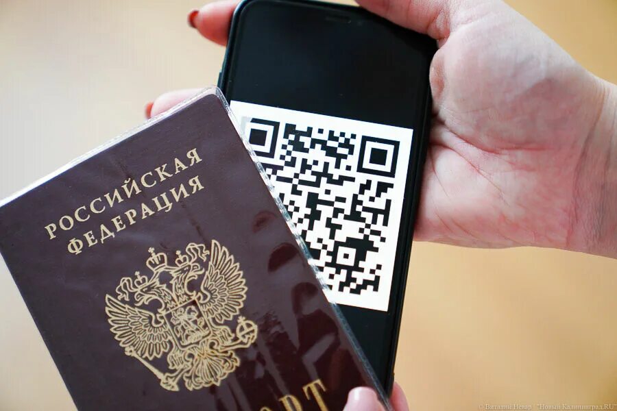 Qr код антитела