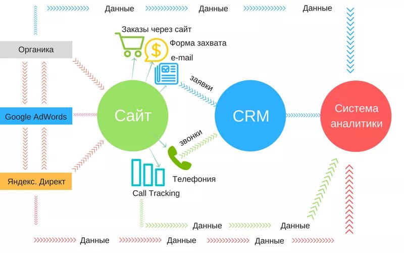 Данные пользователя сайт