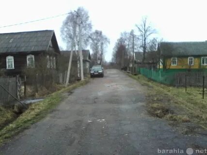 Погода новгородская парфинский пола