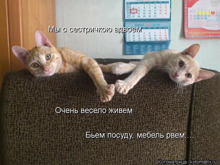 жизнь бьет ключом картинка. криминальный бит. жить как депутат криминальный бит текст. криминал криминальный бит. бьешь бьют живешь живут.