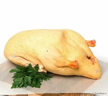 Сколько мяса в индоутке