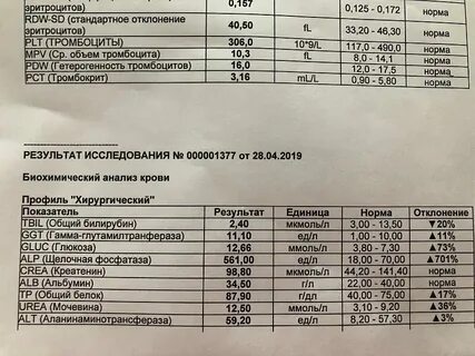 Белок ггт