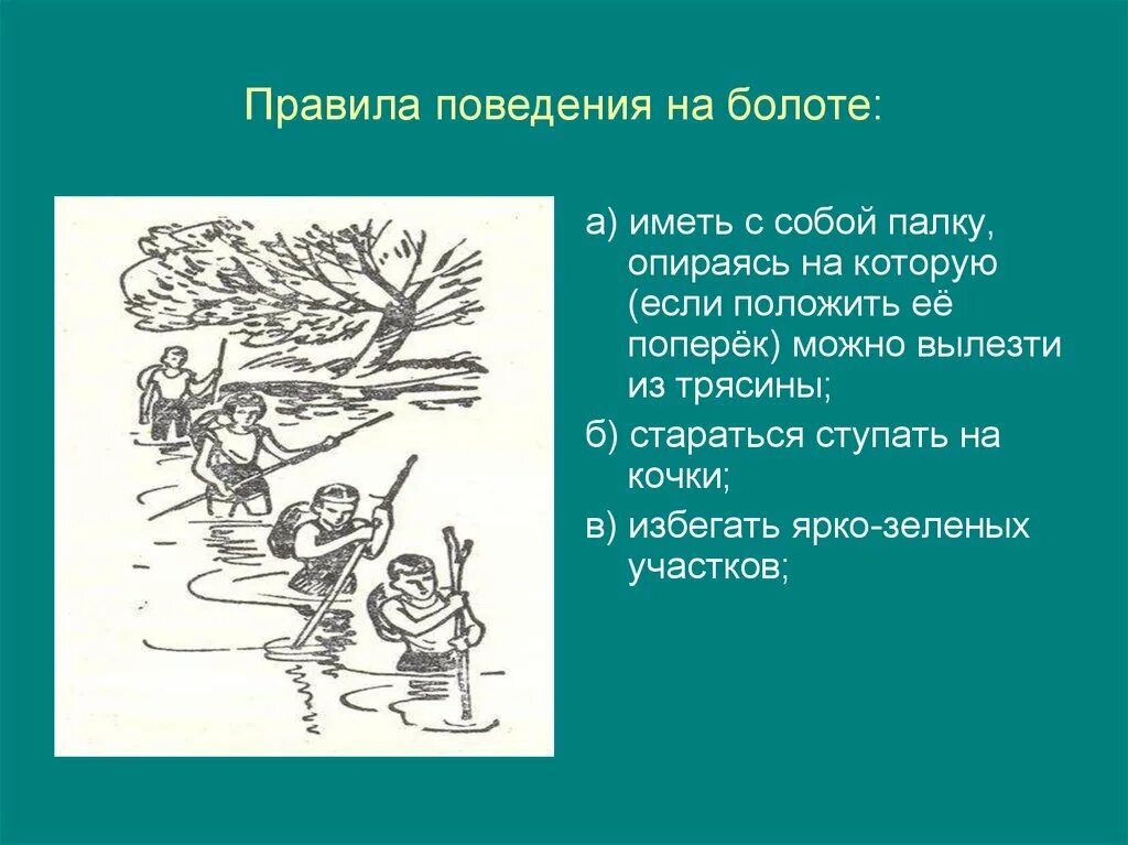 Составляющая болотной. Правила поведения на болоте. Правило поведения на болоте. Болота правила поведения. Правила поведения на болоте для детей.