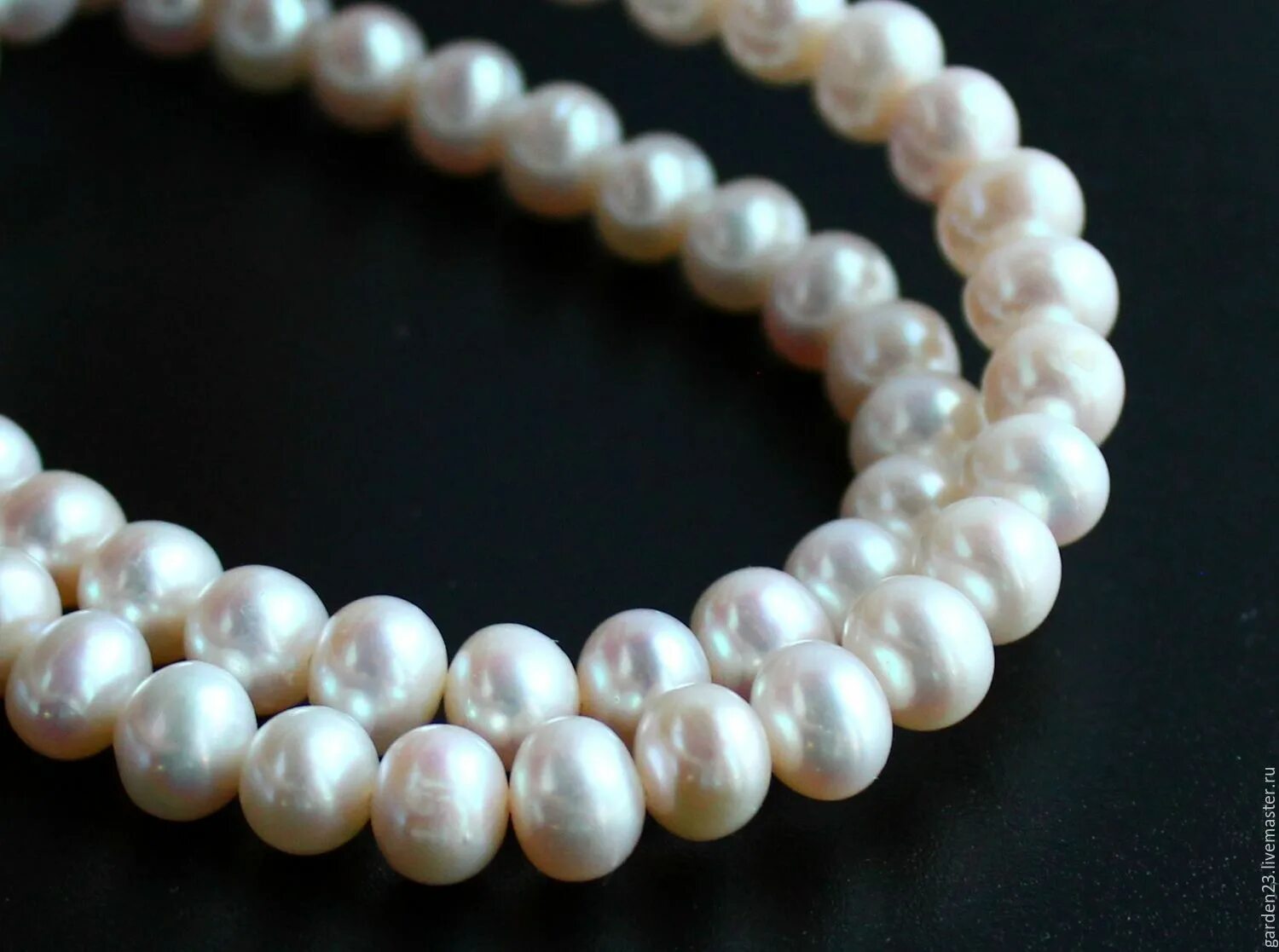 Как отличить натуральный жемчуг. Моллюск акойя жемчуг. Как отличить натуральный жемчуг. Как отличить натуральный жемчуг. Настоящий речной жемчуг.