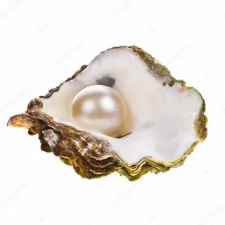 Pearl oysters
