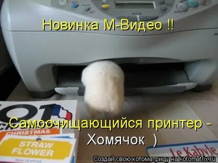 Зажевывает бумагу