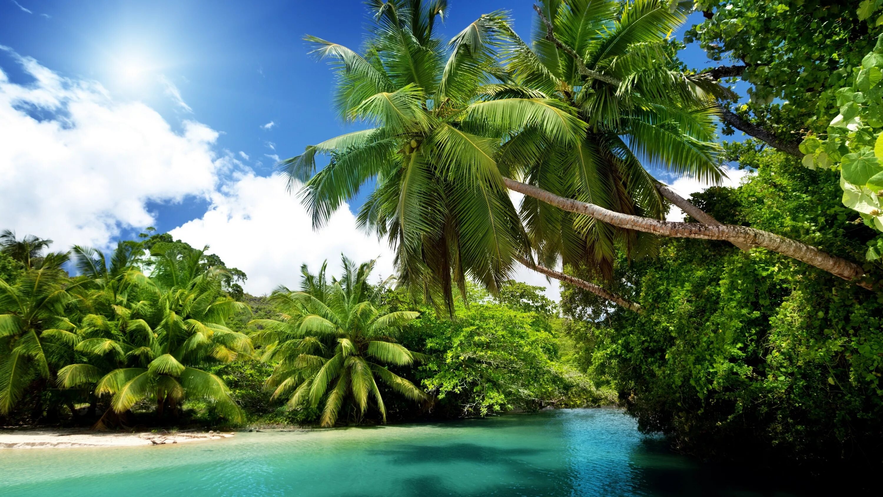 Остров Саона голубая Лагуна. Симиланские острова. Голубая Лагуна Саона Доминикана. Тропики.