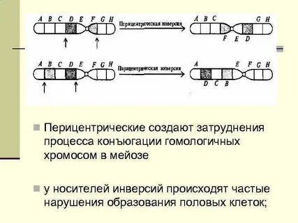 Конъюгация образуется
