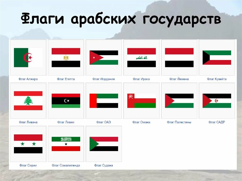 Как называется флаг зелено белый. Флаги арабских стран. Флаги мусульманских стран. Флаги мусульманских старн. Флаг Исламского государства.