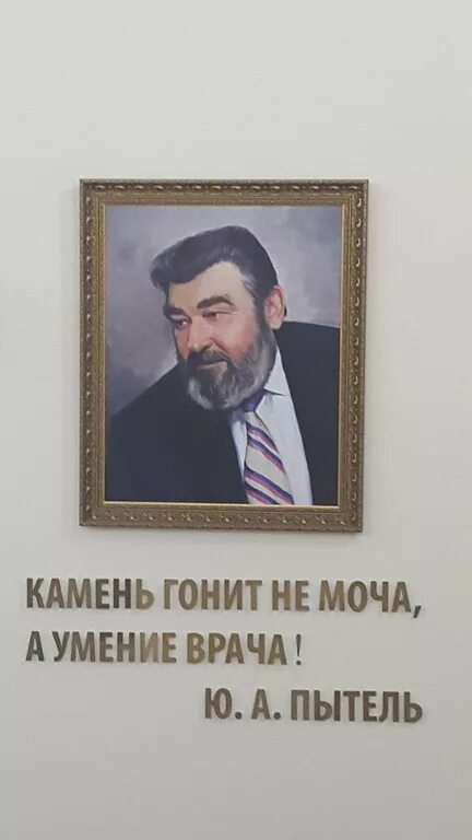 Гонит камень. Камень гонит не моча а умение врача. А.Я. Пытель.