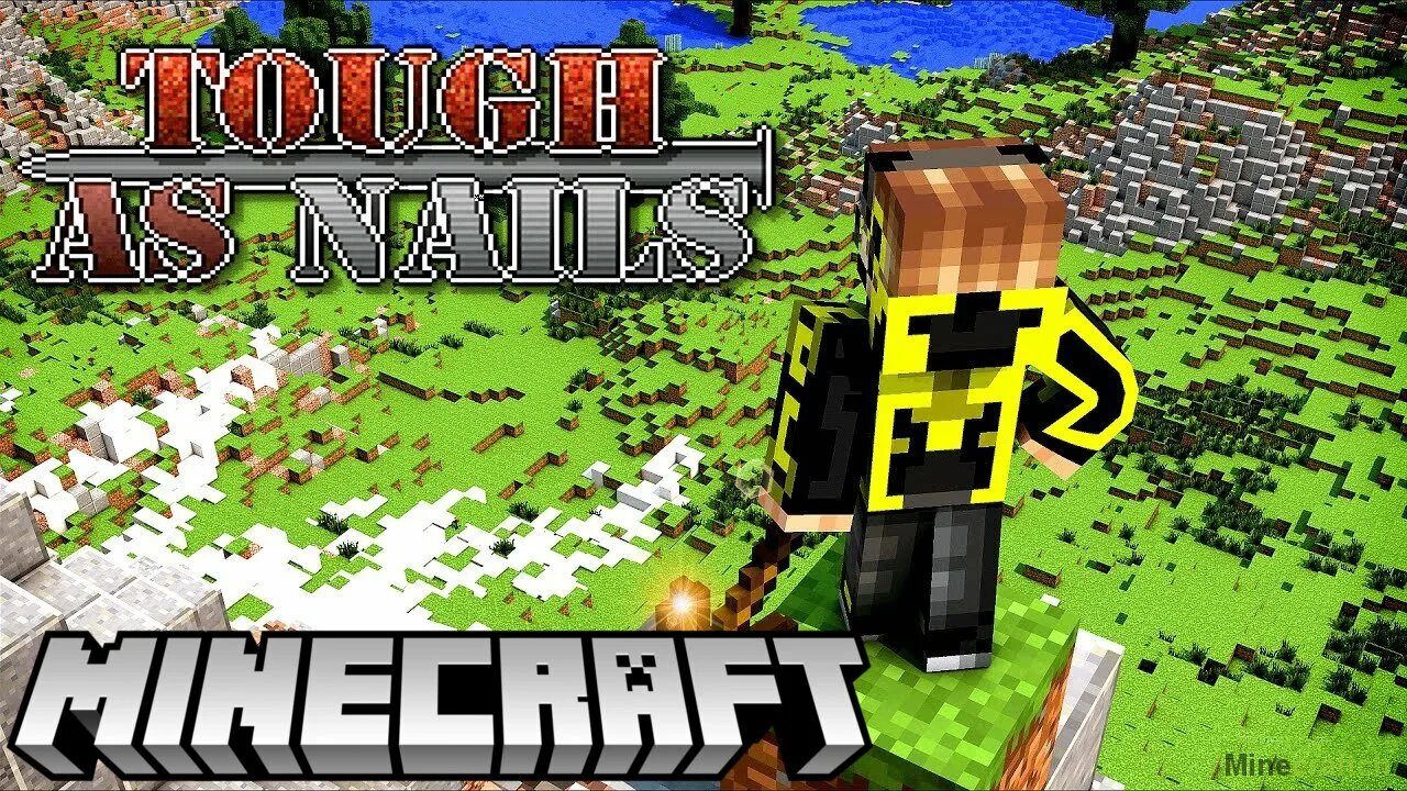 Мод tough as nails 1.16 5. Tough as nails mod 1.12.2. мод tough as nails. выживание с модами. мод на реалистичное выживание.