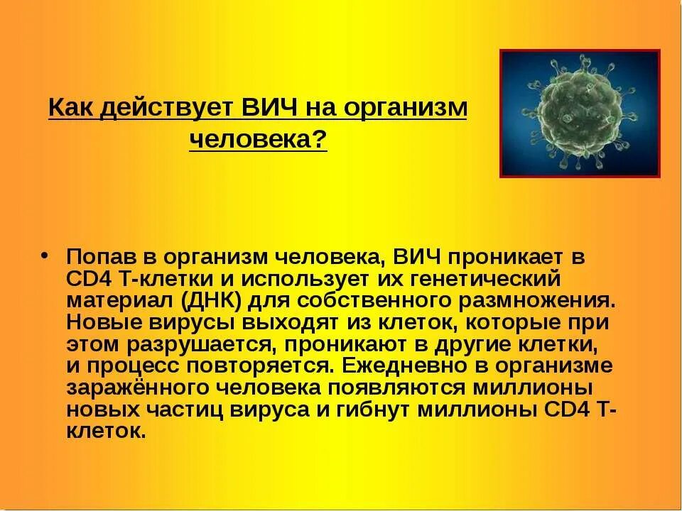 Спид организм. Как действует ВИЧ на организм. Как действует ВИЧ на человека. Как попадает ВИЧ В организм человека.