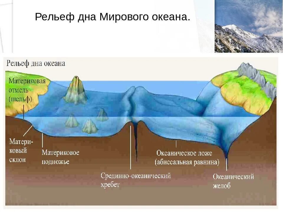 Строение моря. Рельеф дна мирового океана. рельеф дна мирового океана схема. схема рельефа океанического дна. строение рельефа дна мирового океана.