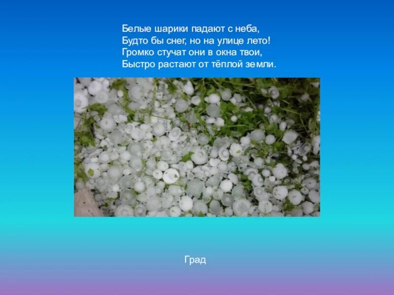 Слова песни белые шарики. Белый град. С неба падают белые шарики. С неба маленькие белые шарики что это сыпется. Презентация 3 класс окружающий мир явления природы град.