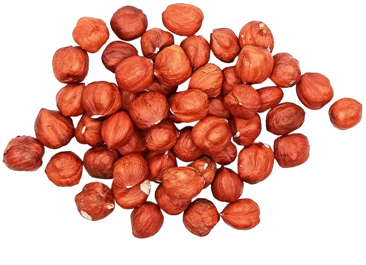 фундук сырой (500 гр). фундук - 500 гр. фундук азербайджан. Dattie. 100г фундука.