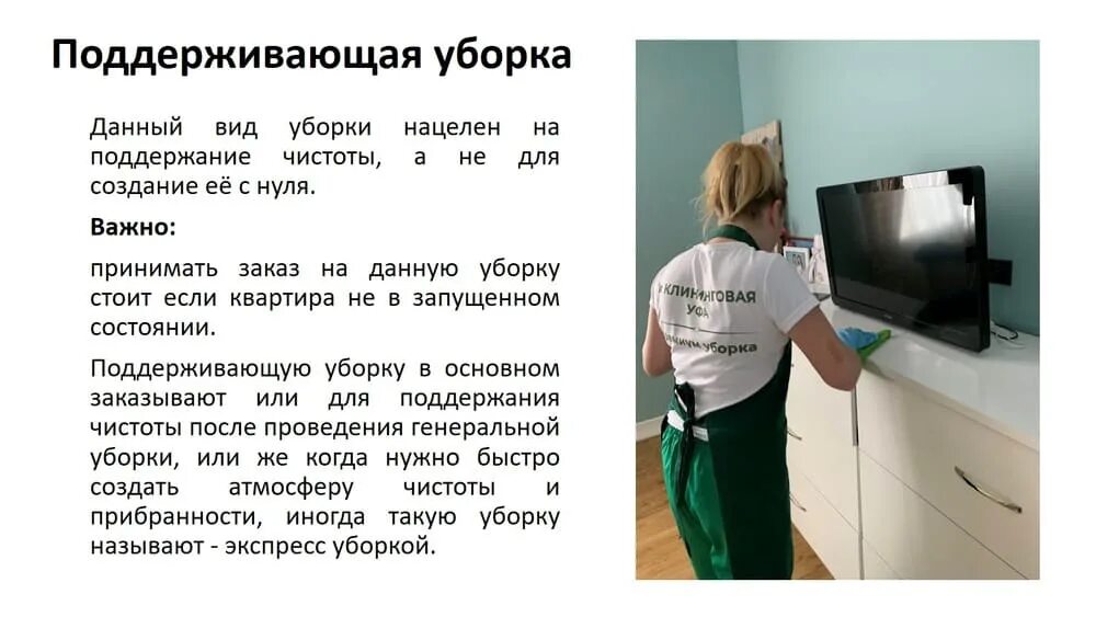 Бизнес план клининговой компании курсовая