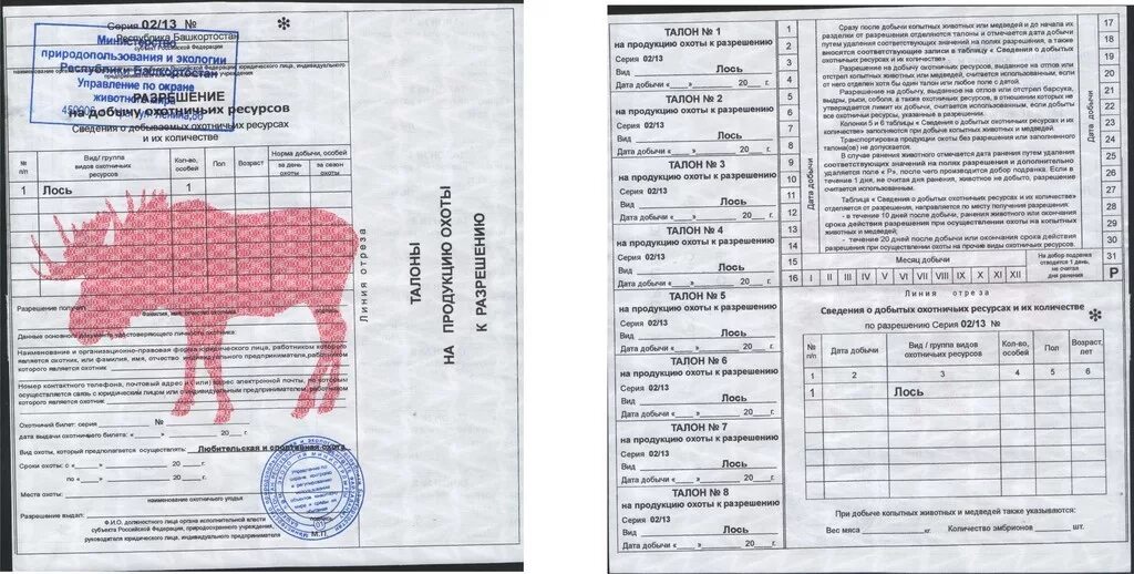 Разрешение на добычу лося. Лицензия на охоту на лося. Разрешение на добычу кабана. Разрешение на косулю.