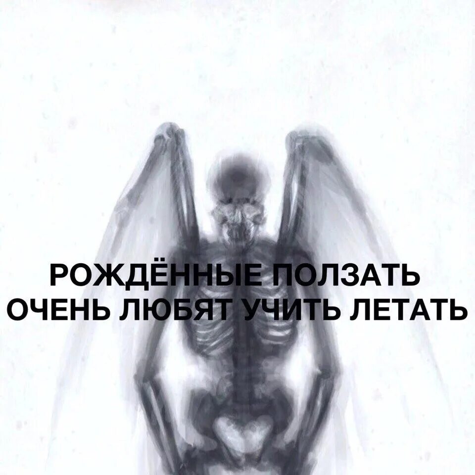 Рождённый летать (2011). Рожденные летать. Уж и сокол цитаты. Был рожден летать. Рожденные летать книга.