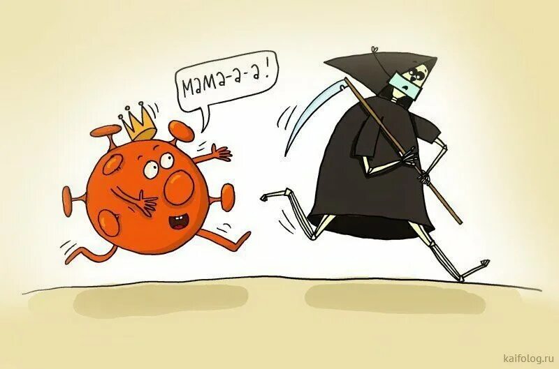 Приколы ковида