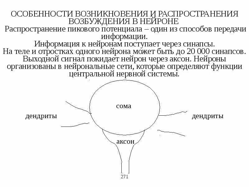 Процесс возбуждения нервных клеток. Особенности возникновения возбуждения в нейроне. Особенности распространения возбуждения в нейроне.. Особенности возникновения нейронов. Механизм возникновения возбуждения в нейроне.