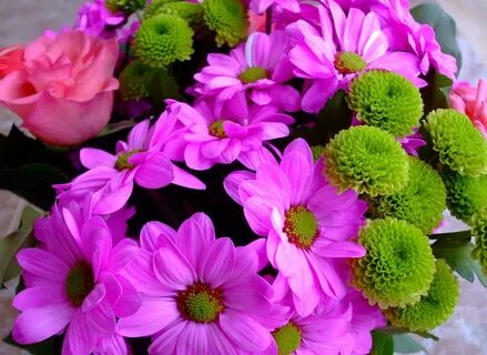 Цветы18