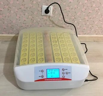 Инкубатор с автоматической регулировкой влажности и температуры