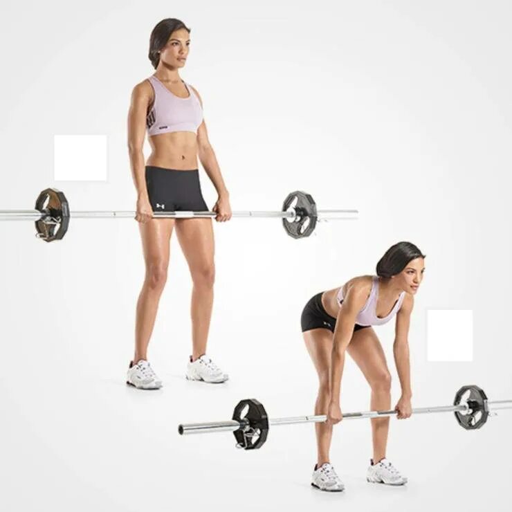 Тяга штанги девушки. Румынская становая тяга. румынская становая тяга со штангой. румынская становая тяга со штангой техника. мертвая.становая.румынская тяга техника.