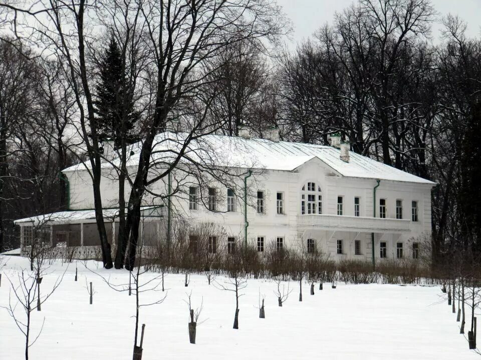Ясная поляна зимой. Ясная поляна тула. Ясная поляна тула зима. Ясная поляна тула. Музей усадьба ясная поляна зимой.