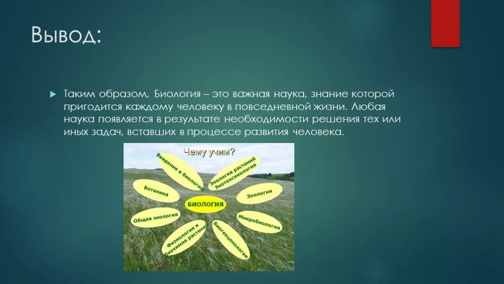 Роль исследований в жизни людей. Методы в биологии вывод. Метод биологии вывод. Методы исследования вывод. Вывод методов биологических исследований.