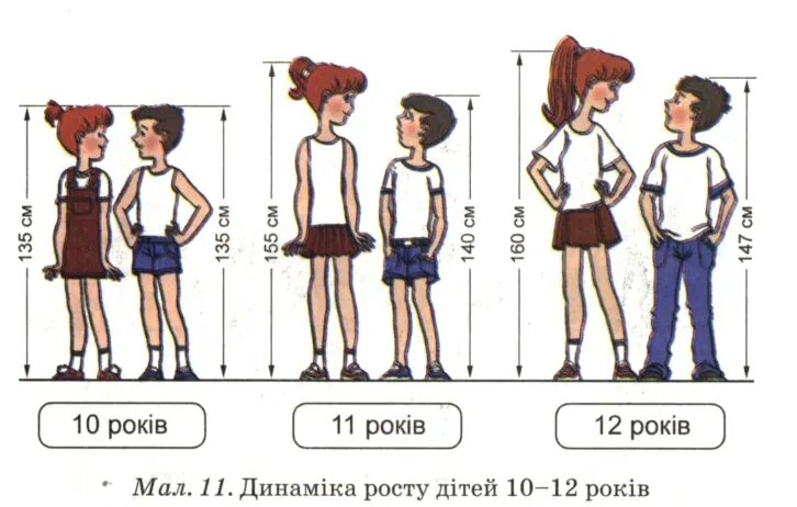 Почему девочки развиваются быстрее