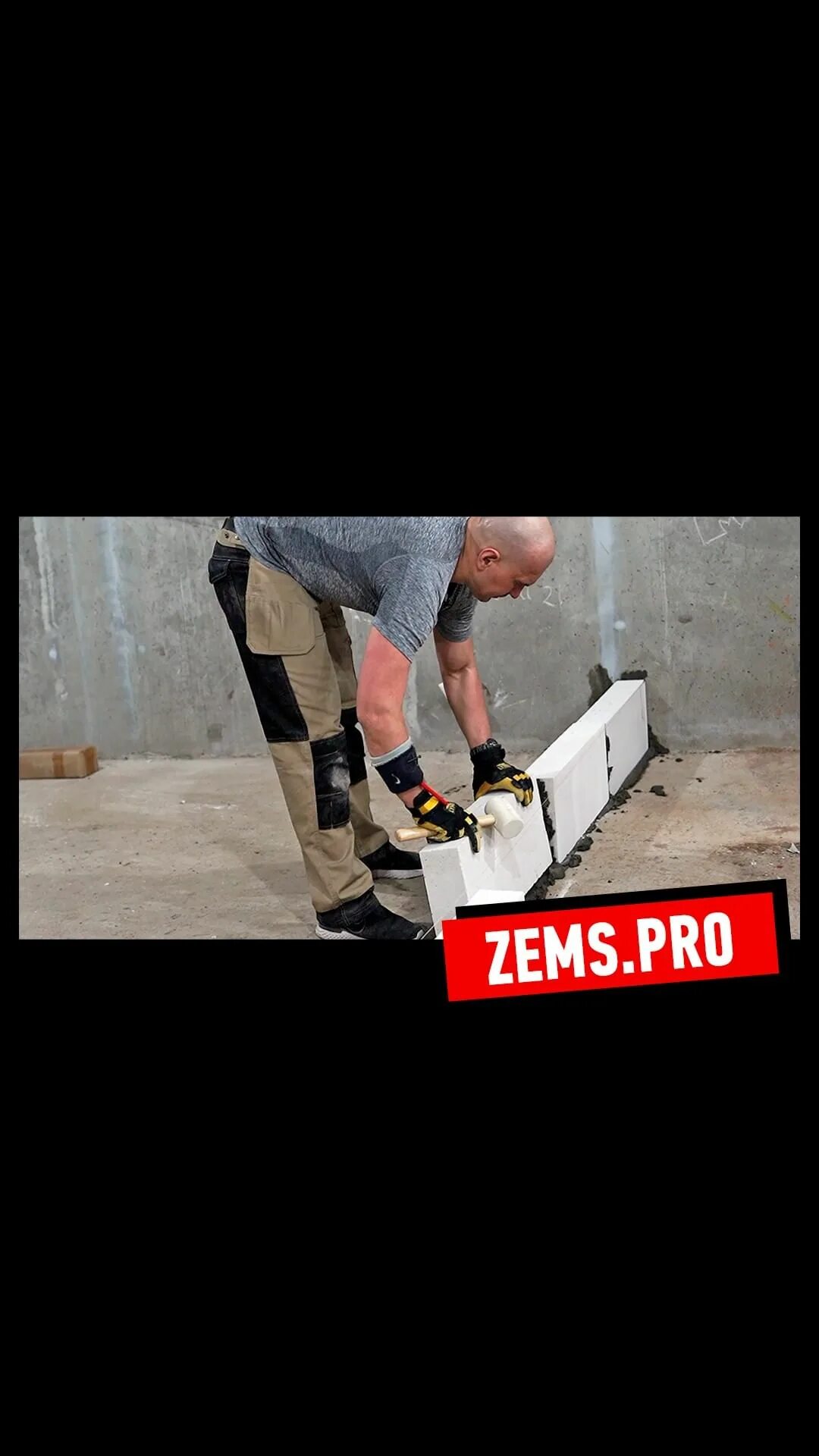 Zems pro отзывы