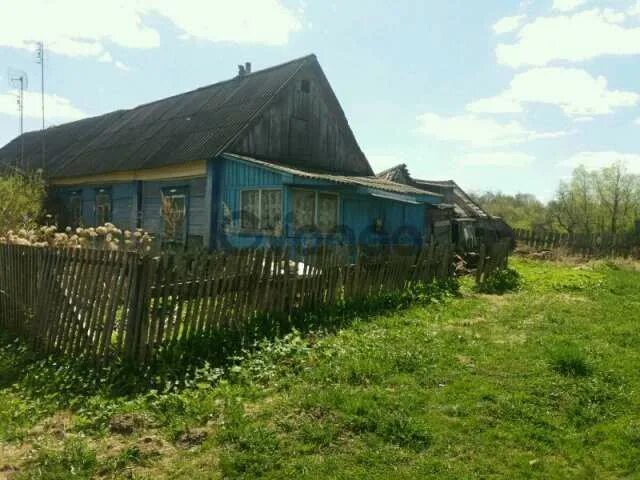 Погода кожухово калужская область. Церковь троицы живоначальной. Погода кожухово калужская область. Погода кожухово калужская область. Деревня кожухово москва.