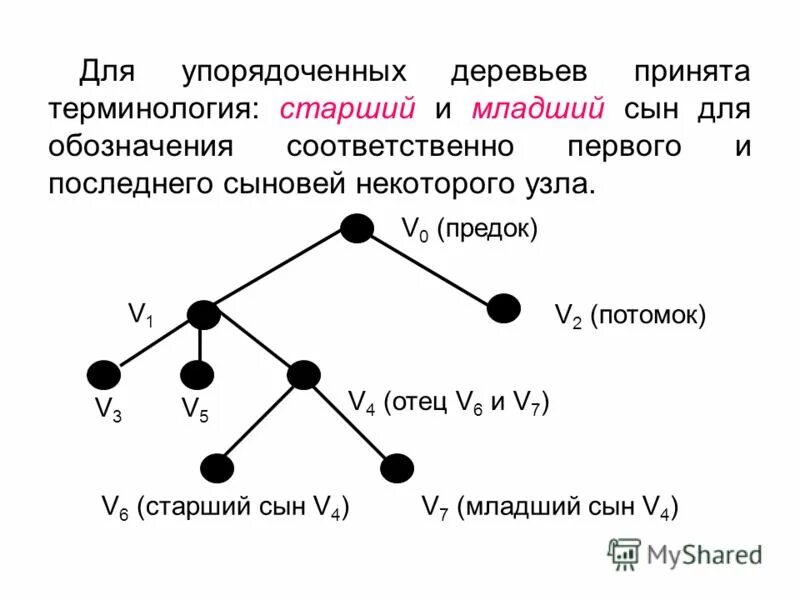 Доклад на тему графы