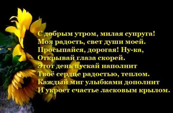 С добрым утром жене на расстоянии. Стихи любимой жене с добрым утром. Стихи жене с добрым утром. С добрым утром любимая жена стихи до слез. С добрым утром жене от мужа стихи.