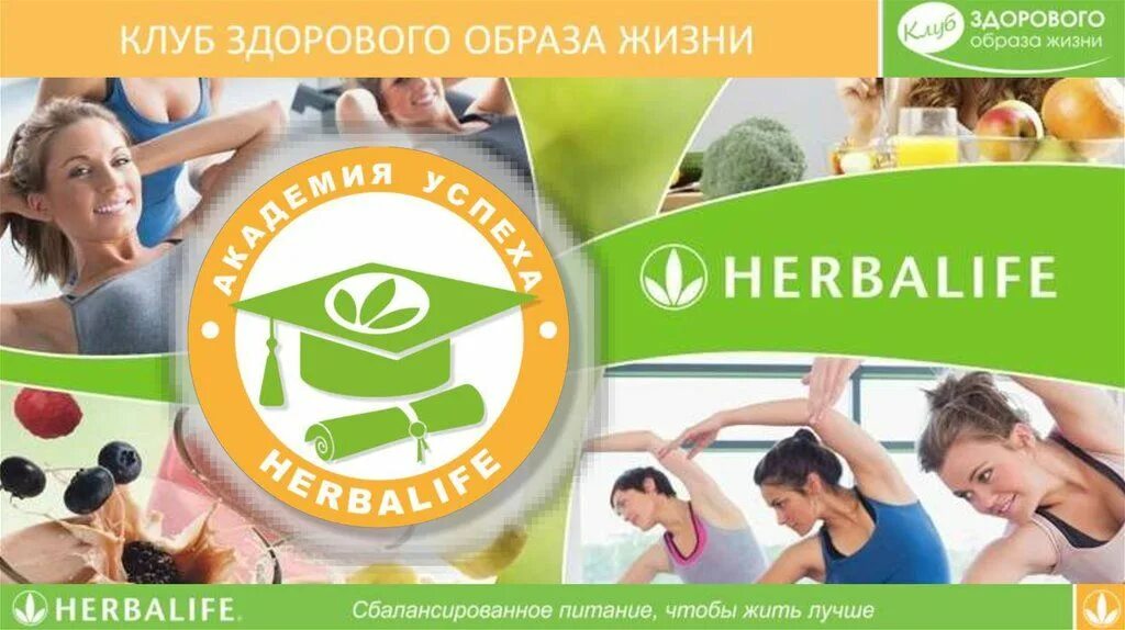 Гербалайф интернет