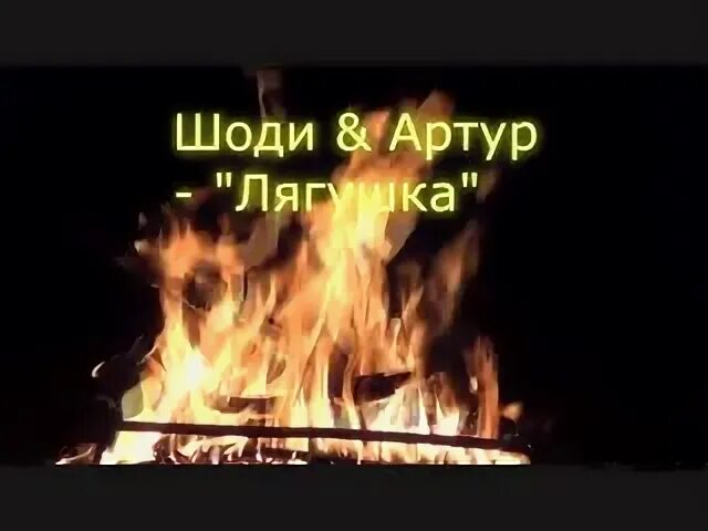 Три желания лягушка шоди