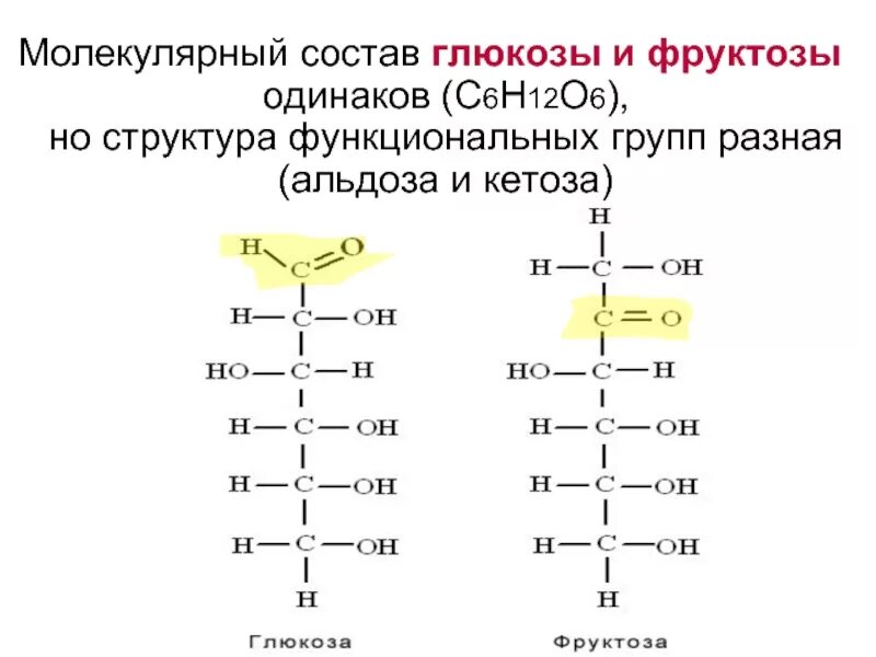 Функциональные группы в молекуле глюкозы. Фруктоза функциональная группа. Структура Глюкозы и фруктозы. Строение Глюкозы и фруктозы. Фруктоза строение линейное.