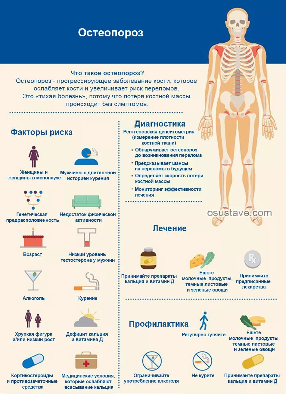 Причина заболевания болезней остеопороз. Профилактика остеопороза. Остеопороз симптомы. Остеопороз причины.