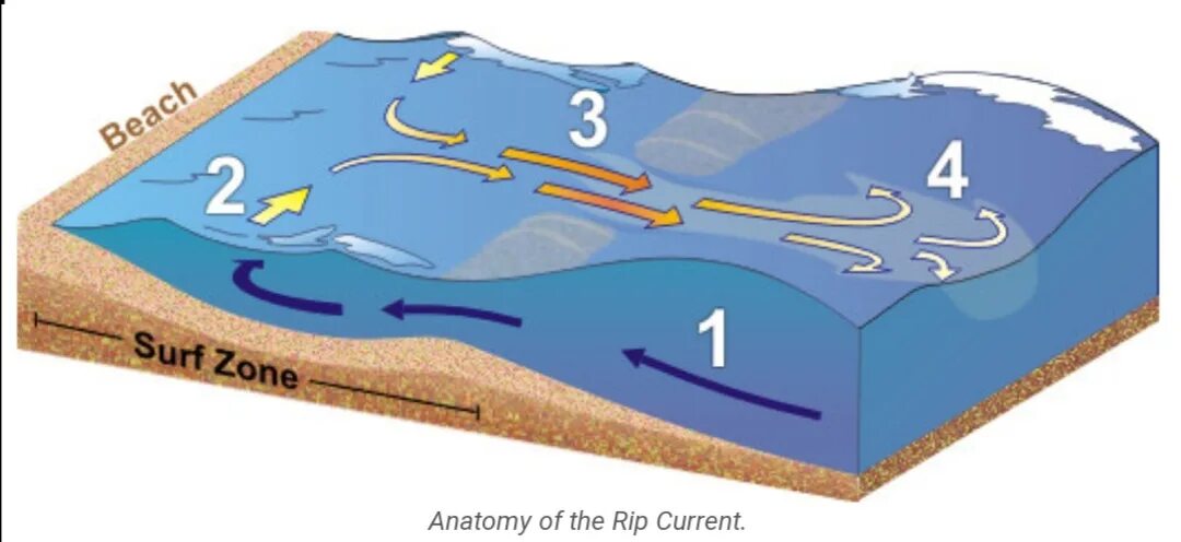 Течение сколько дне. Глубинные течения. Физика отбойного течения. Обратное течение в океане. Rip течение.
