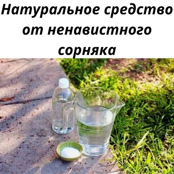 Уксус и моющее средство от сорняков. Моющее средство на уксуса + воды.