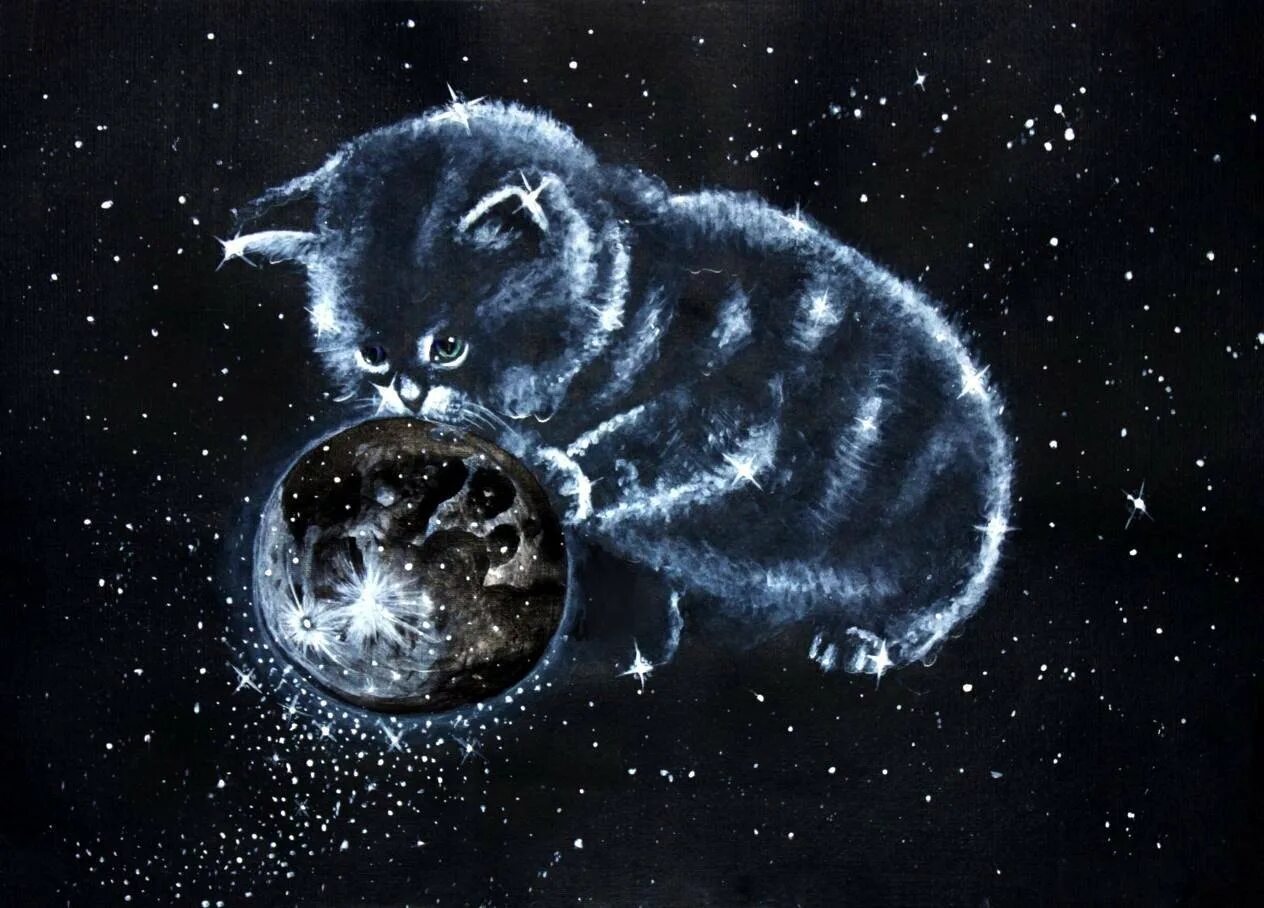 Рисунок луны в космосе. "Лунный кот". Космический кот. Коты в космосе. Кот на Луне.