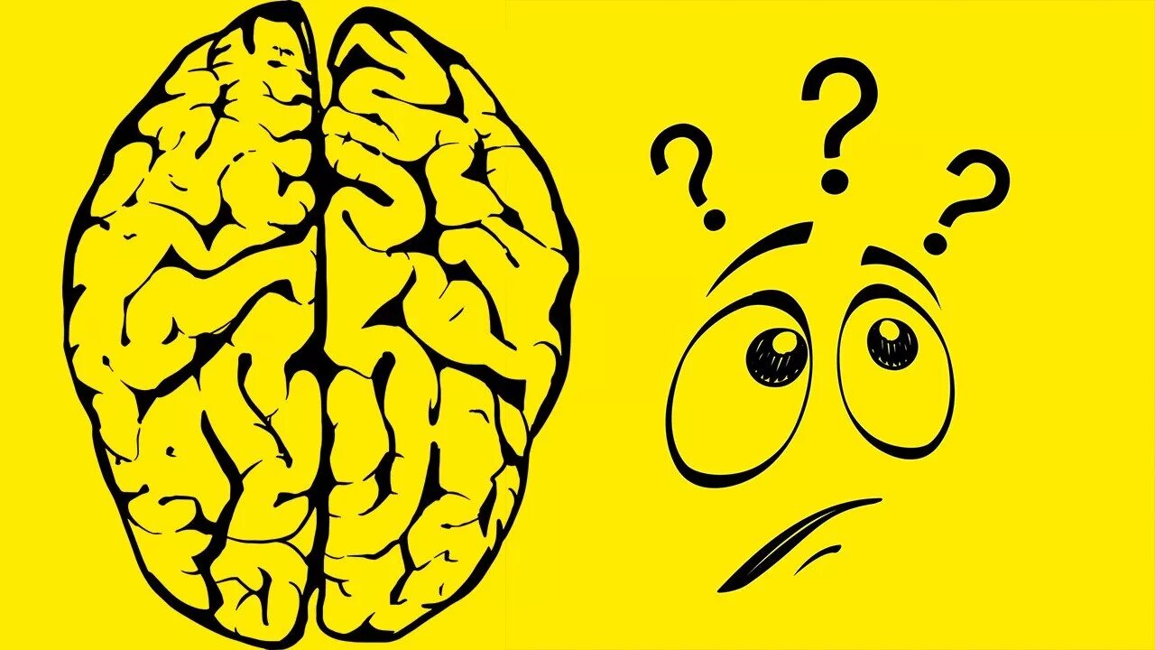 Как мозг думает. Тайная жизнь мозга книга. Мозг мужчины и мозг женщины. Как мозг думает. Тайная жизнь мозга как наш мозг думает чувствует и принимает решения.