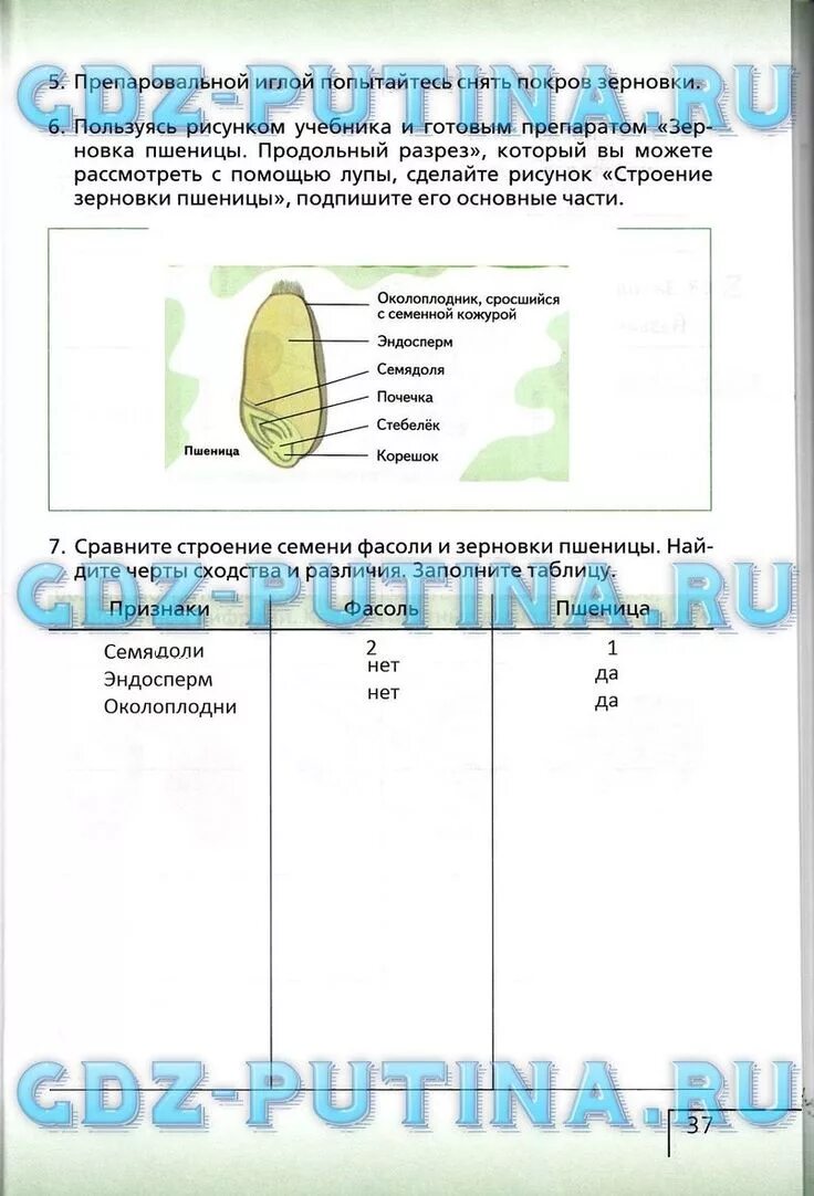 Используя рисунок, найди x.￼ 534 - Школьные Знания.com