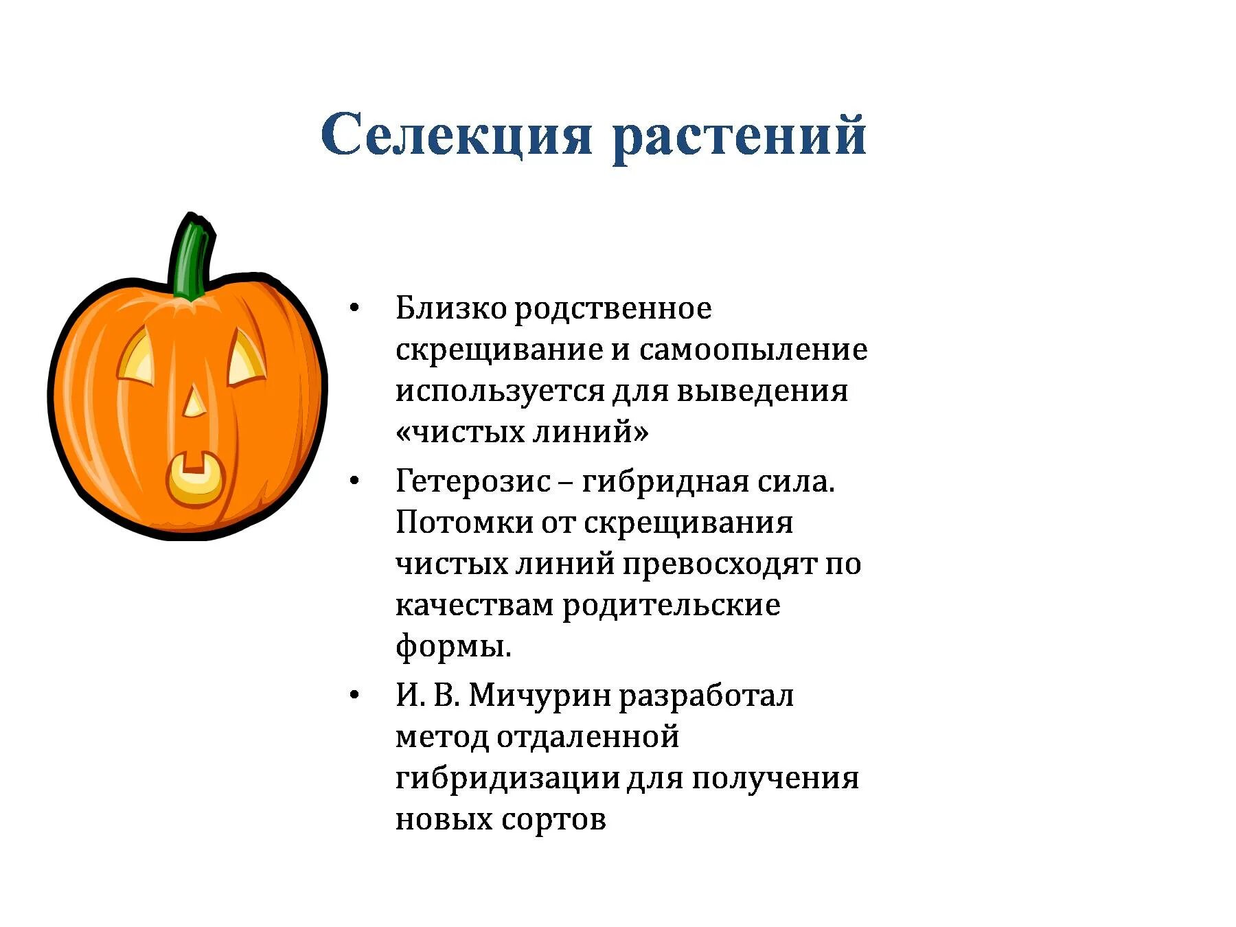 Селекция растений. Скрещивание селекция растений. Селекция растений картинки. Селекция растений примеры. Родительские формы чистые линии