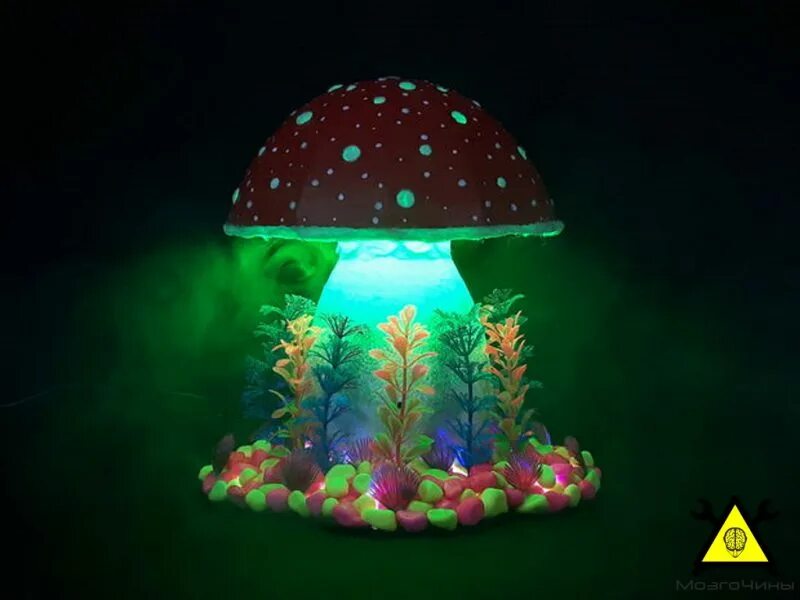 Ночник грибочки. Настольная лампа faro guadalupe 104315. Ночник гриб. Ночник гриб. Микроподсветка.