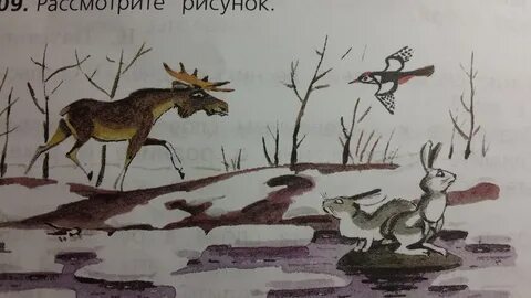 Митины друзья